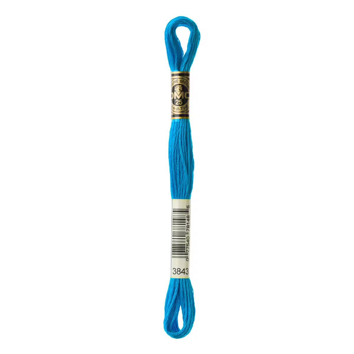 DMC Six-Strand Embroidery Floss - #3843