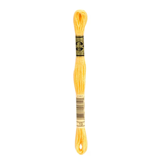 DMC Six-Strand Embroidery Floss - #19