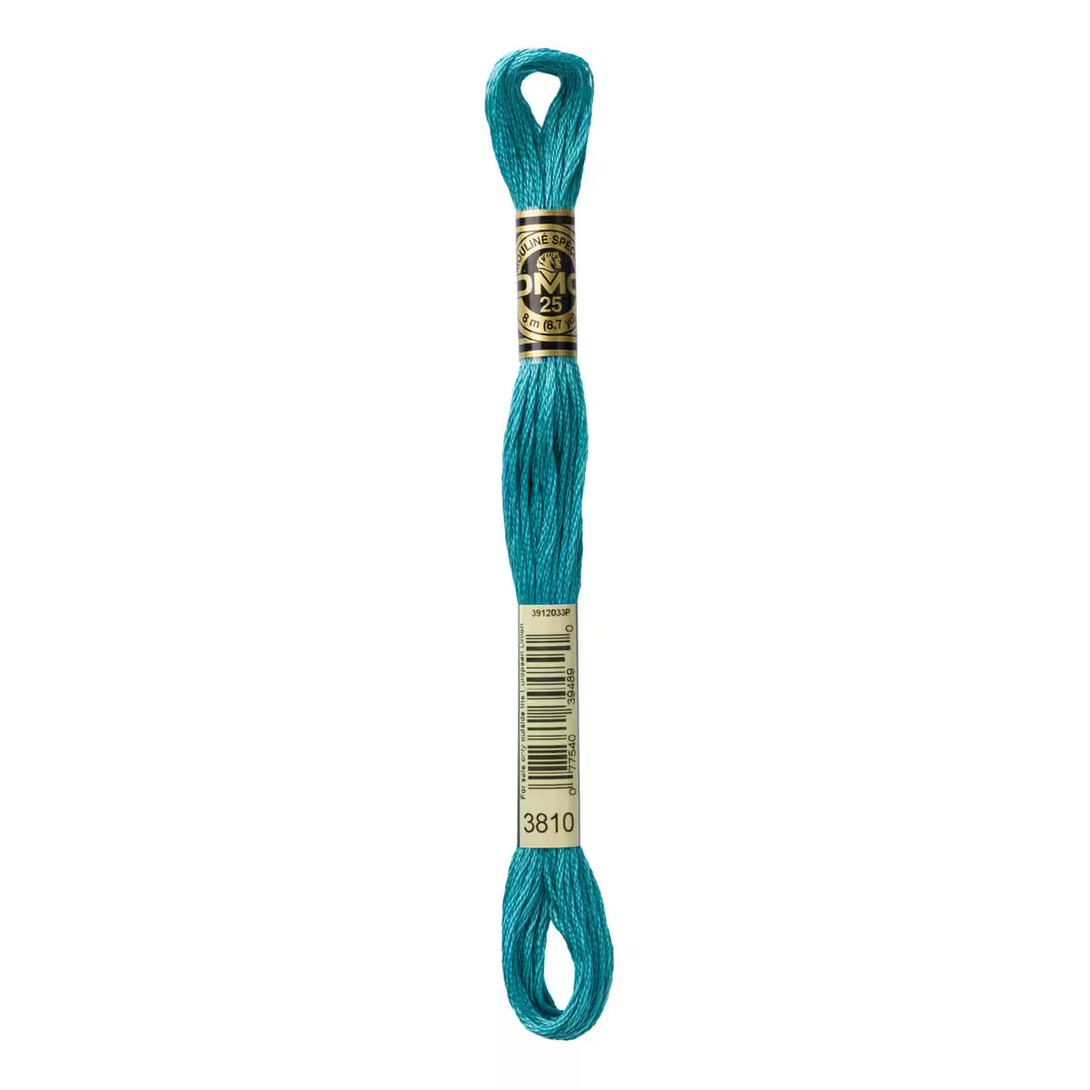 DMC Six-Strand Embroidery Floss - #3810