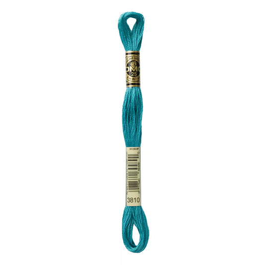 DMC Six-Strand Embroidery Floss - #3810