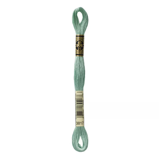 DMC Six-Strand Embroidery Floss - #3817
