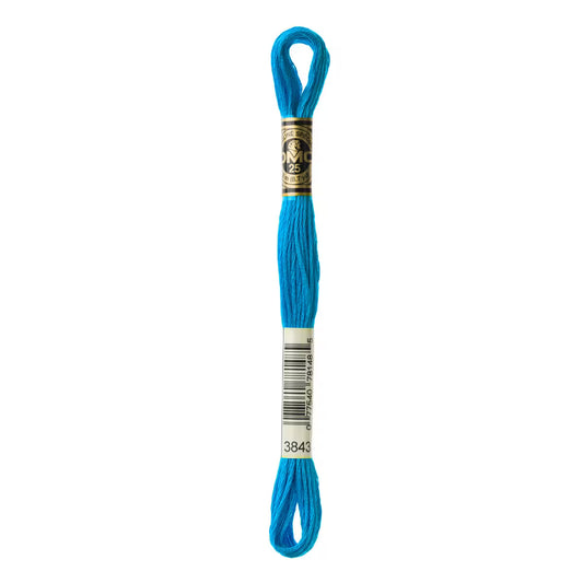 DMC Six-Strand Embroidery Floss - #3843