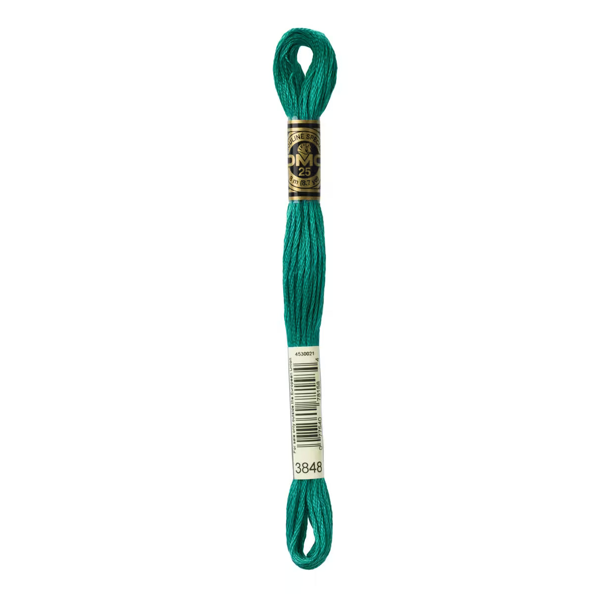 DMC Six-Strand Embroidery Floss - #3848