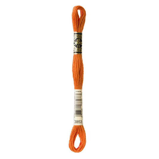 DMC Six-Strand Embroidery Floss - #3853