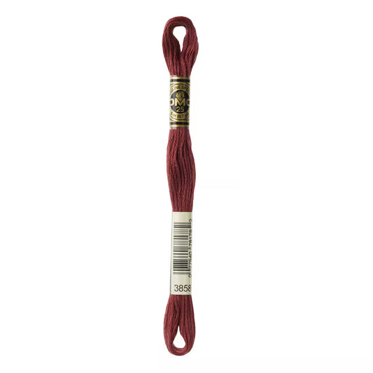 DMC Six-Strand Embroidery Floss - #3858