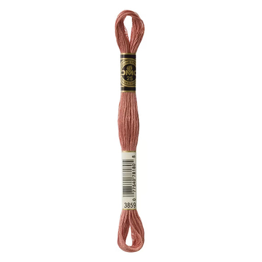 DMC Six-Strand Embroidery Floss - #3859