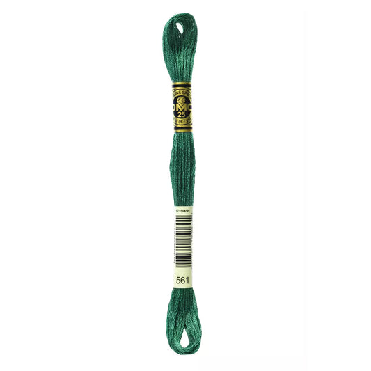 DMC Six-Strand Embroidery Floss - #561