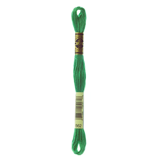 DMC Six-Strand Embroidery Floss - #562